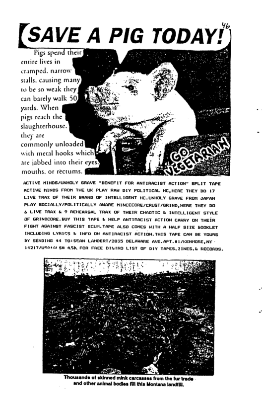 SAVE A PIG TODAY’ entire lives in cramped. narrow sulls. causing many 1o be so weak they, yards. When pigs reach the slaughterhouse they are commonly unloaded NG with mecal hooks whichig are jabbed into their eyes ouths. or rectums. ACTIVE NINDS/HOLY GRAVE "GENEFLT FOR ANTIRACIST ACTION® SPLIT TAPE ACTIVE MINDS FRON THE UK PLAY RAM DIY POLITICAL NC,HERE THEY DO 17 LIVE TRAX OF THELR BRAND OF INTELLIGENT NC.UWOLY GRAVE. FRON JAPAN PLAY SOCIALLY/POLITICALLY AWARE. NINCECORE /CRUST/GRIND,WERE. THEY DO & LIVE TRAX & 9 REMEARGAL TRAX OF TWEIR CHADTIC & INTELLIGENT STHLE OF GRINDCORE. BUY THIS TR & HELP ANTIRACIST ACTION CARRY ON THEIR EY SEHDING 4 TOISEAN LAMGGRT/ 2035 DELAMARE. AVE. APT. 41 /KENIORE, Y Thoussnde o ied ik corcstcs S o o o it o e G,